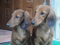 /album/spolecne-foto/anelly-a-arci-jpg/